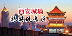黑人屌干白人屄中国陕西-西安城墙旅游风景区