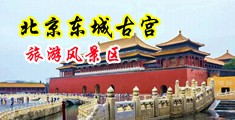 男jj操女逼视频wwwwwwwww中国北京-东城古宫旅游风景区